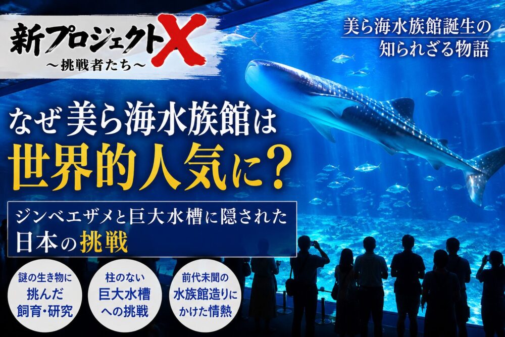 なぜ美ら海水族館は世界的人気に？